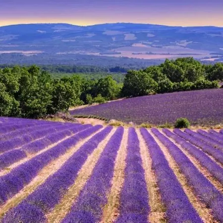 La Petite Maison Casa de Férias Céreste