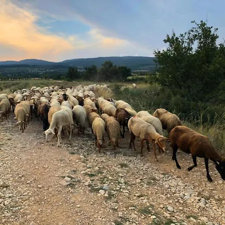 Casa de Férias La Petite Maison *