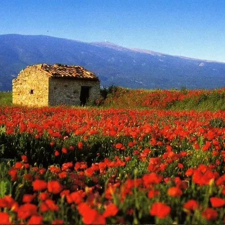 La Petite Maison