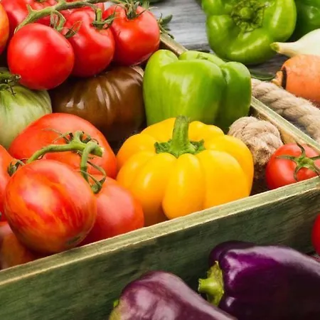 La Petite Maison * Céreste