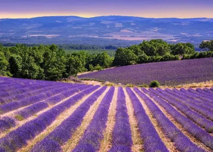 La Petite Maison Vakantiehuis Céreste