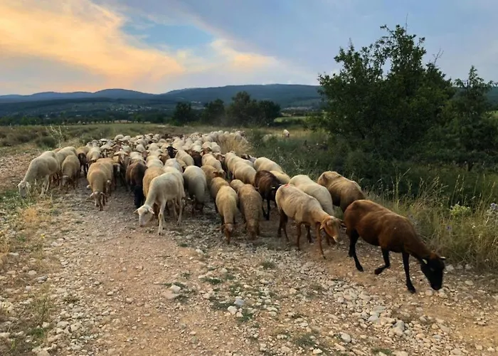 Vakantiehuis La Petite Maison *